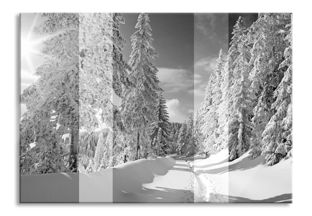 Pixxprint Winterlandschaft mit Bäumen, Glasbild
