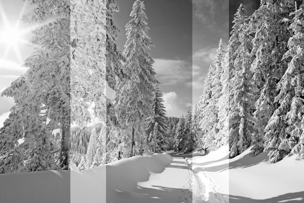 Winterlandschaft mit Bäumen, Glasbild