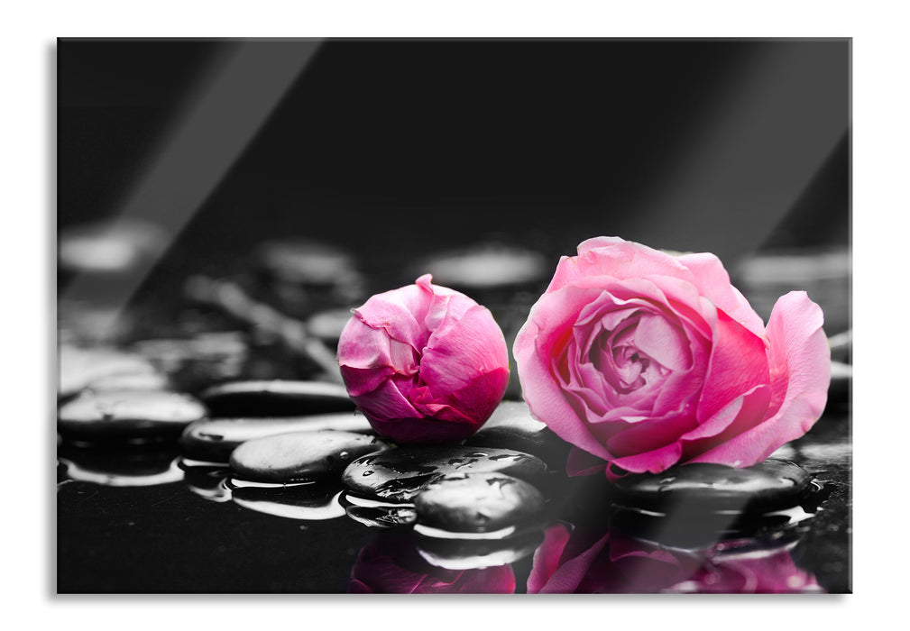 Pinke Rosenblüten auf Zensteinen, Glasbild