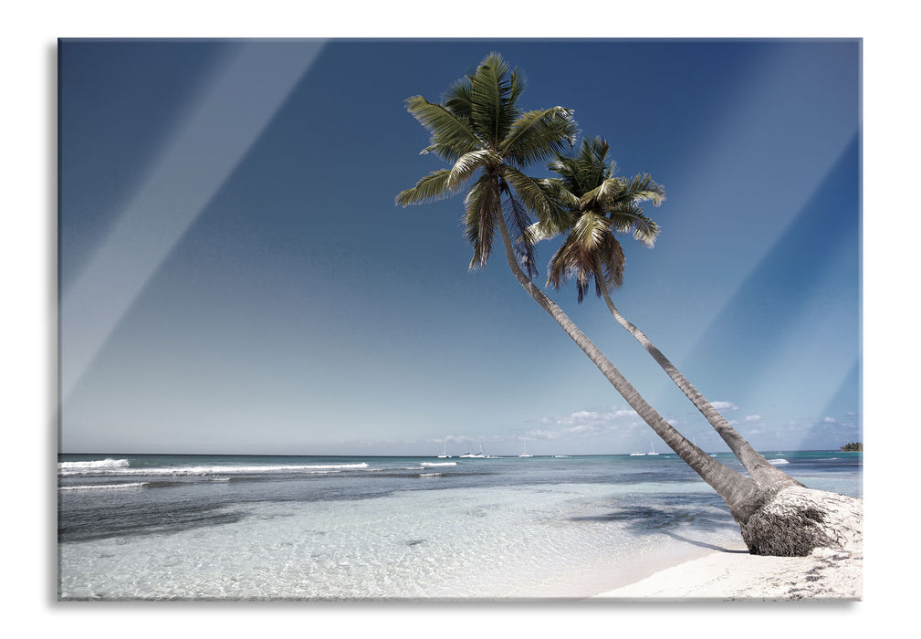 Pixxprint zwei Palmen ragen über das Wasser, Glasbild