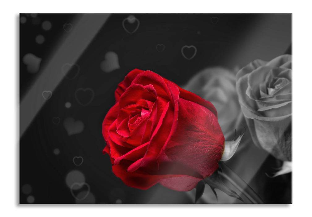 Pixxprint rote Rosen zum Valentinstag, Glasbild