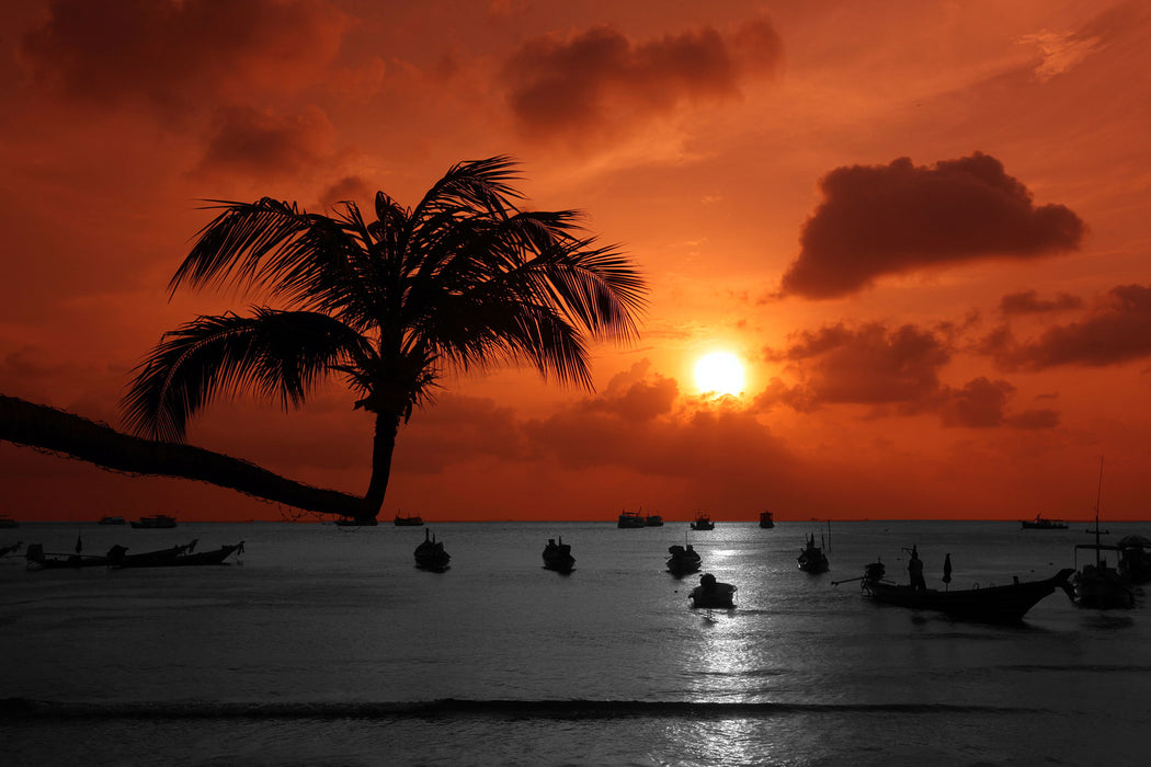 Sonnenuntergang mit Palmen, Glasbild