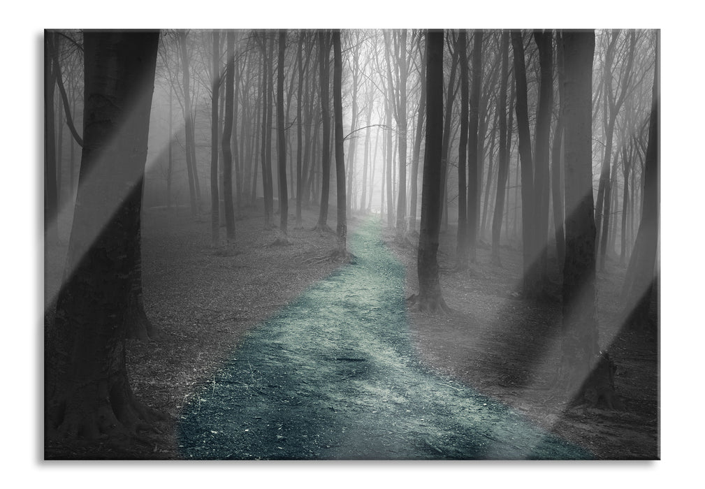 Einsamer Weg im Wald, Glasbild