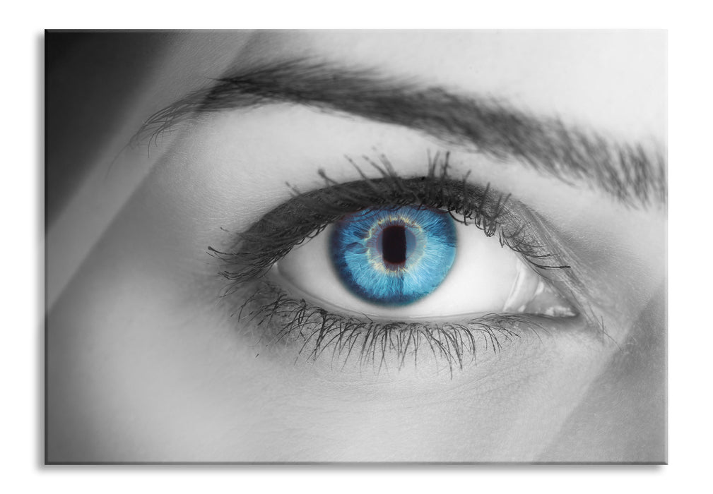 Pixxprint wunderschöne blaue Iris, Glasbild