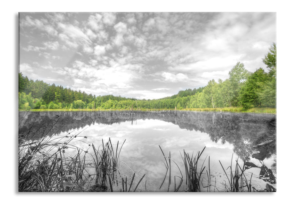 Pixxprint traumhafter See in grünem Wald, Glasbild