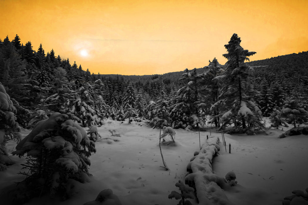 Wald im verschneiten Winter, Glasbild