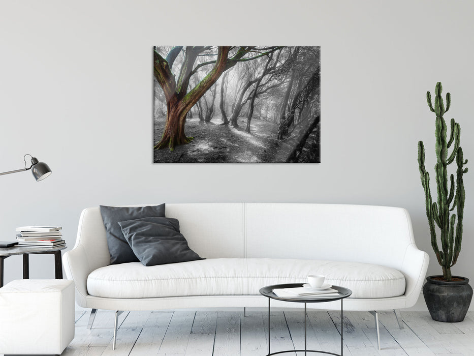 einsamer Baum in tristem Grau, Glasbild