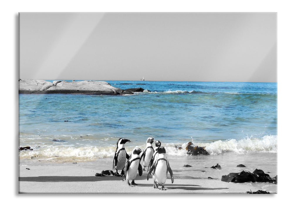 Pixxprint lustige Pinguine am Strand, Glasbild