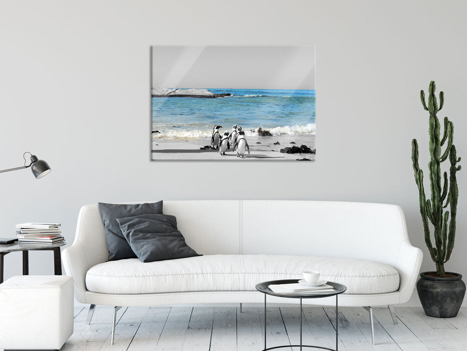 lustige Pinguine am Strand, Glasbild