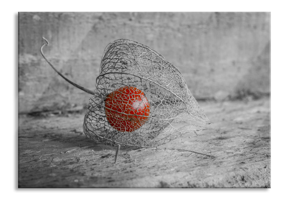 Pixxprint leckere Physalis in Schale, Glasbild