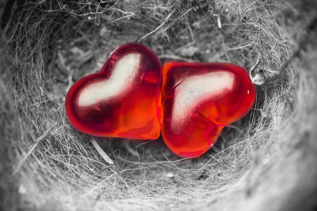 zwei Herzen in kleinem Nest, Glasbild