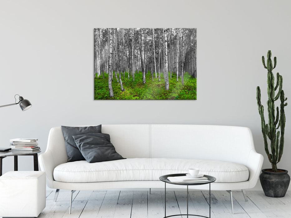 kleiner ansehnlicher Birkenwald, Glasbild