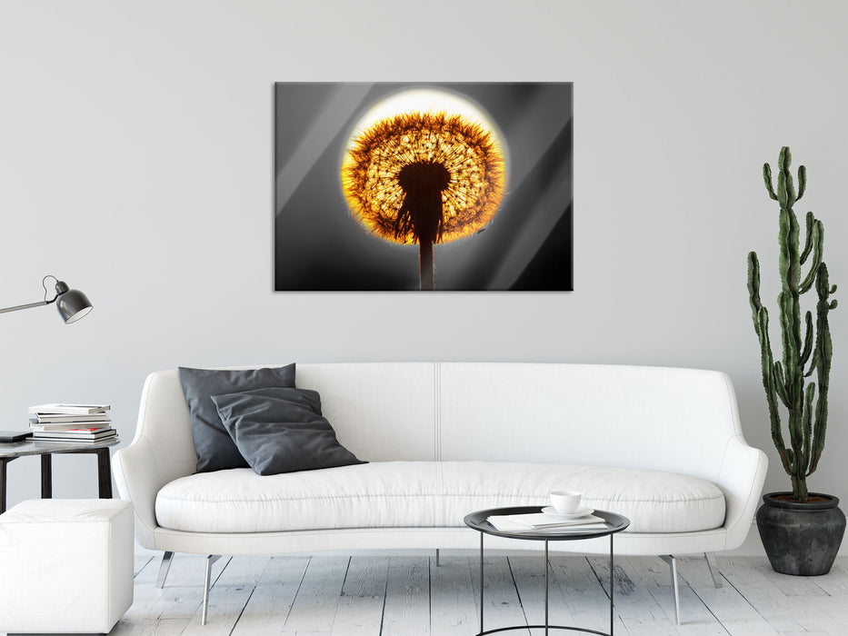 Pusteblume vor untergehender Sonne, Glasbild