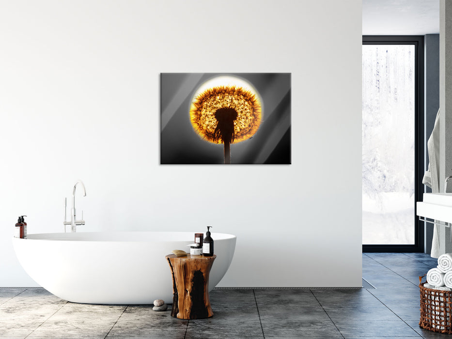 Pusteblume vor untergehender Sonne, Glasbild