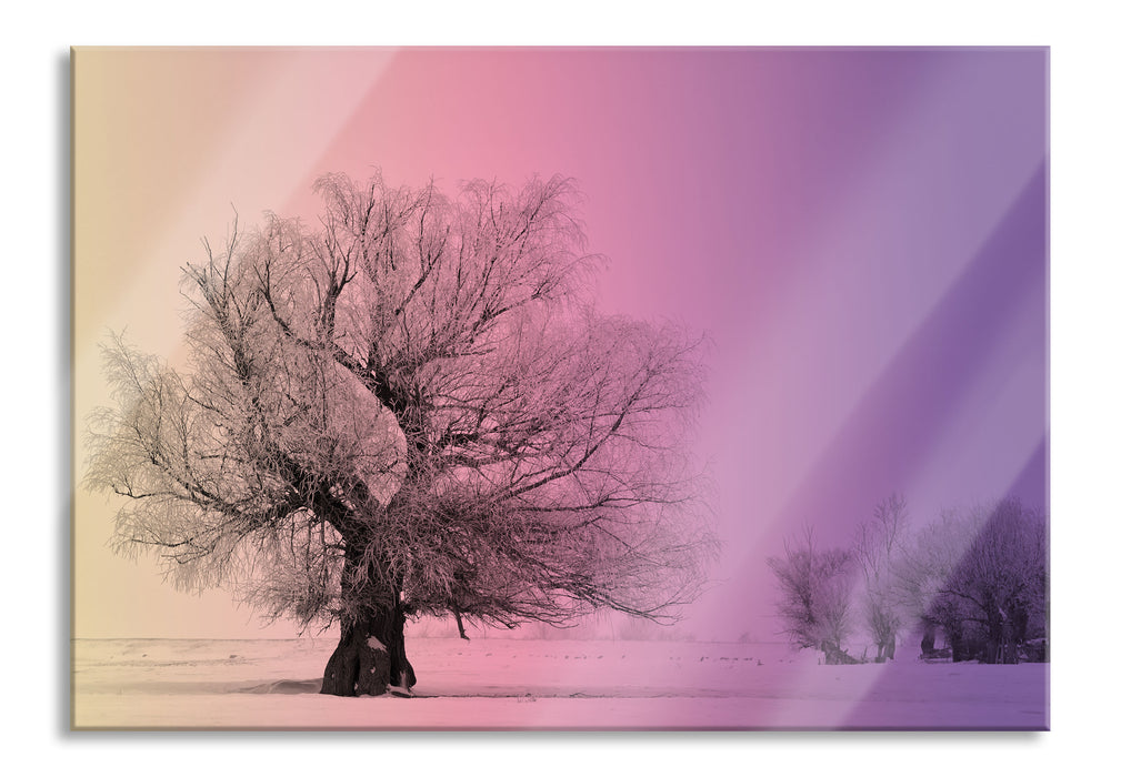 Pixxprint verschneite Bäume im Nebel, Glasbild