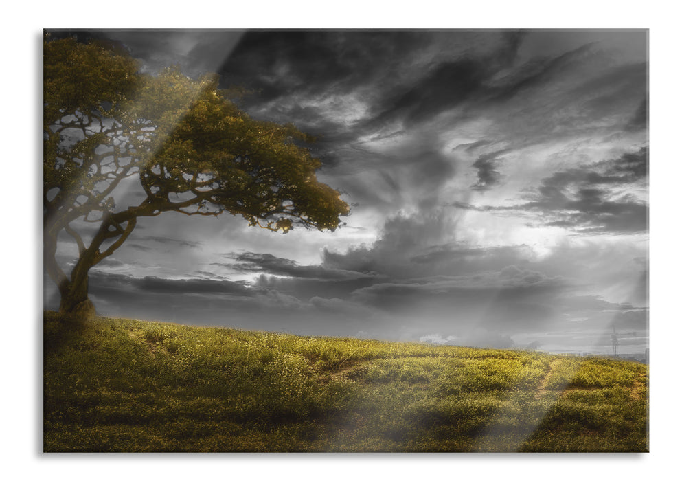 Pixxprint Alleinstehender Baum, Glasbild