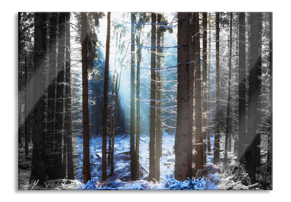 Pixxprint Sonne Winterwald, Glasbild