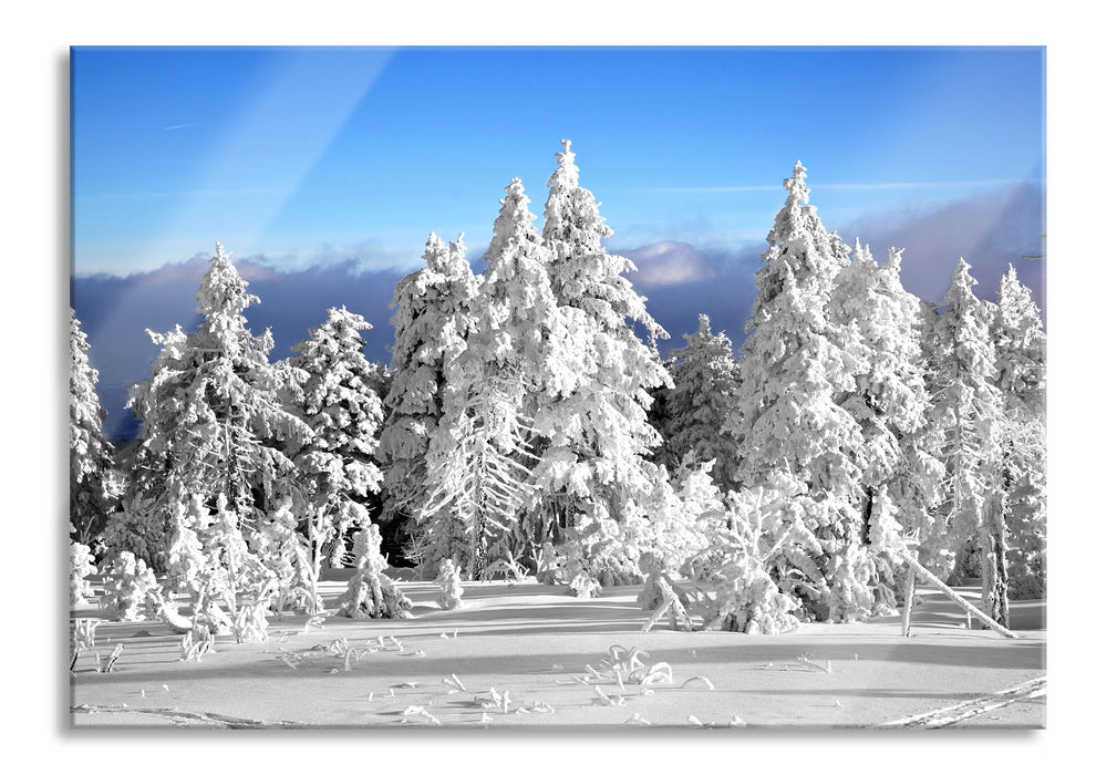 Pixxprint Winter Wunderland, Glasbild