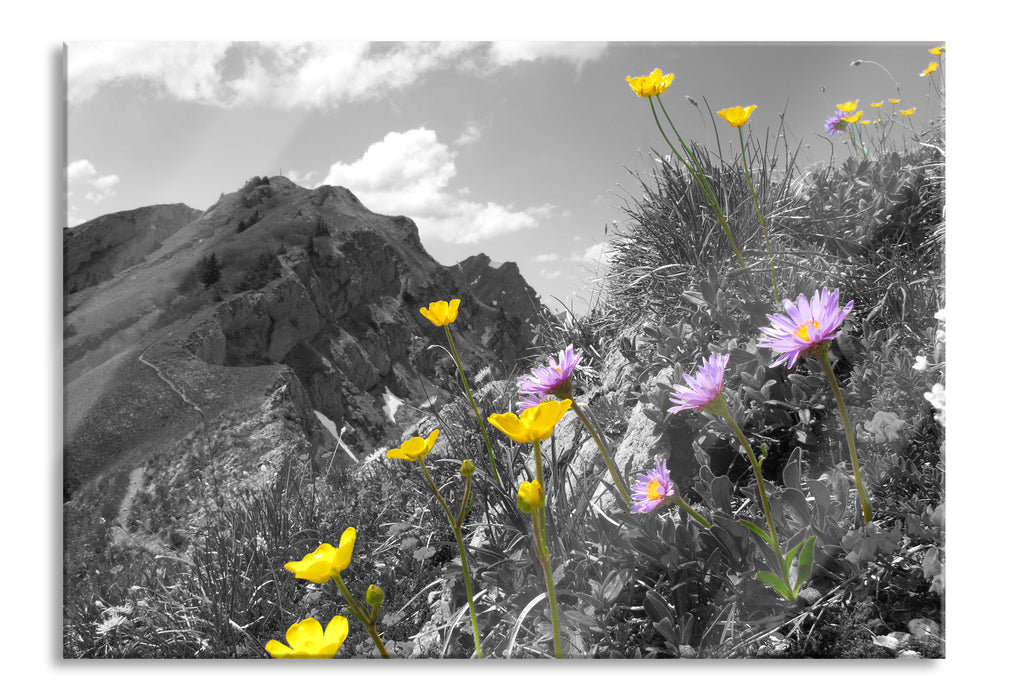 Pixxprint Blumenwiese im Frühling, Glasbild