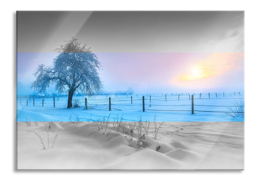 Pixxprint Baum in Winterlandschaft, Glasbild