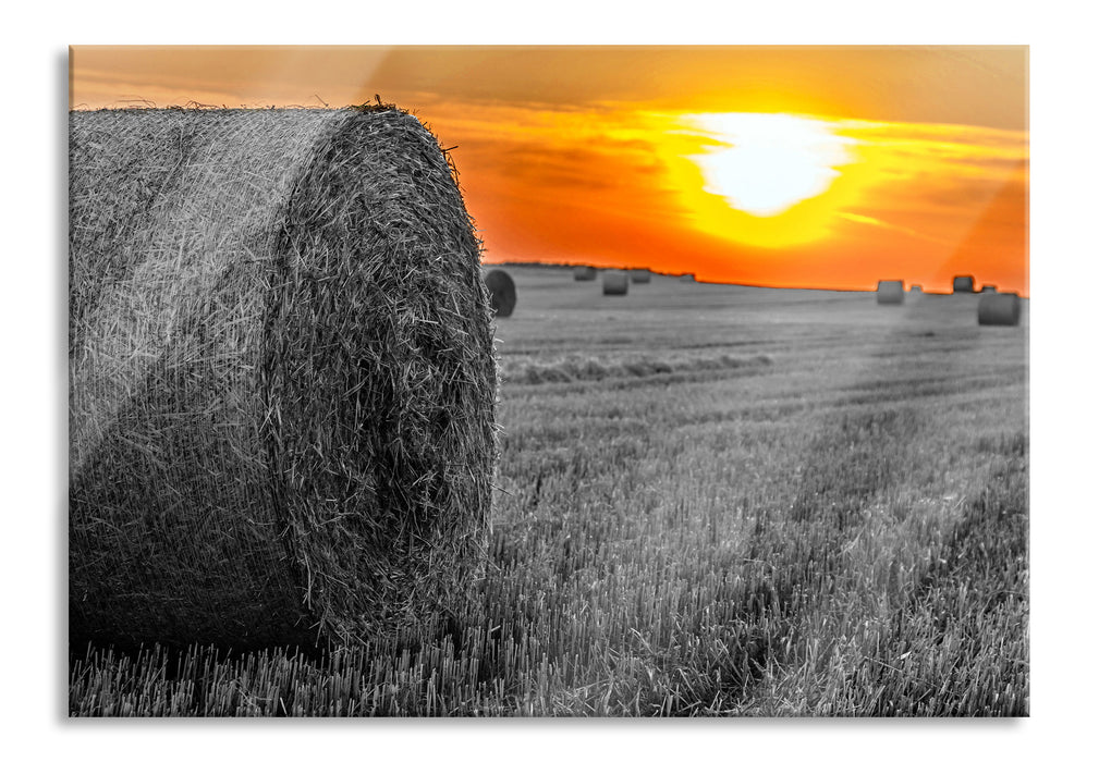 Pixxprint Strohballen auf Feld, Glasbild