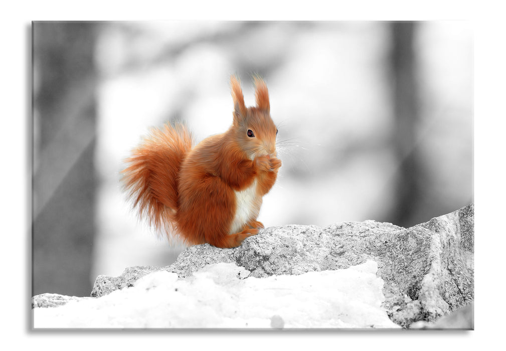 Pixxprint Eichhörnchen in verschneitem Wald, Glasbild