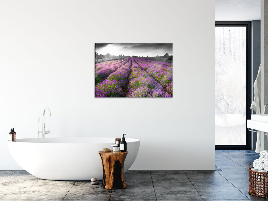 Lavendelfelder in der Provence, Glasbild