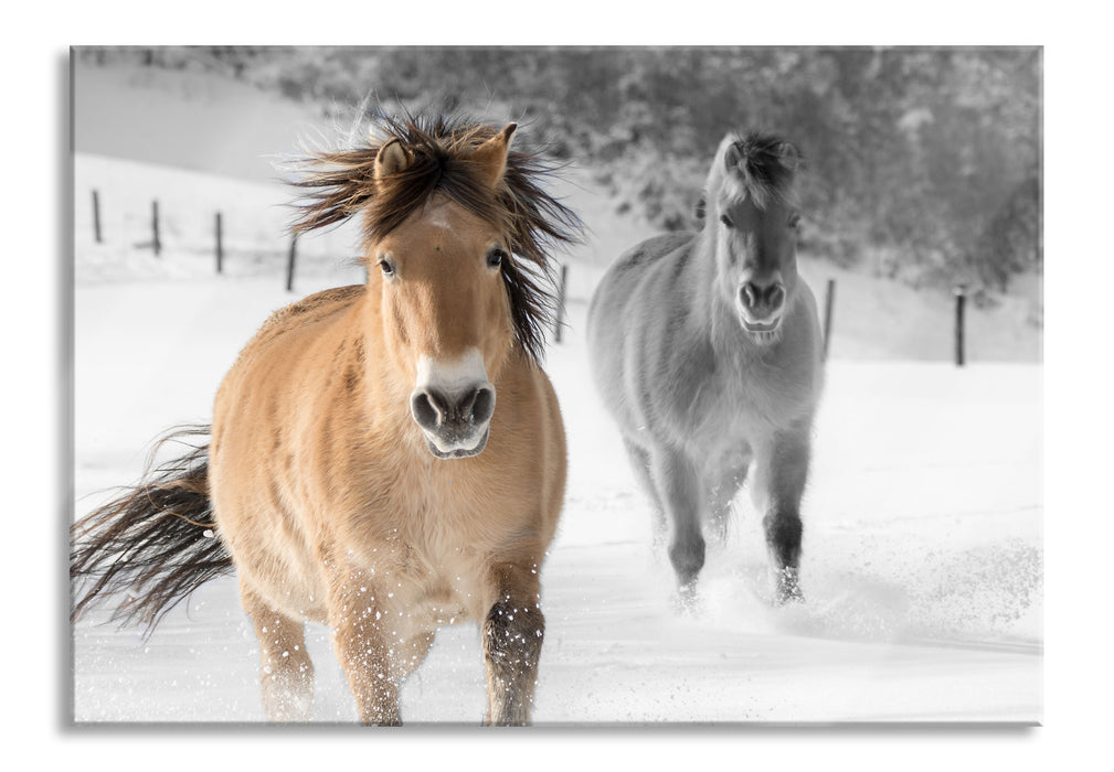 zwei schöne Ponys im Schnee, Glasbild