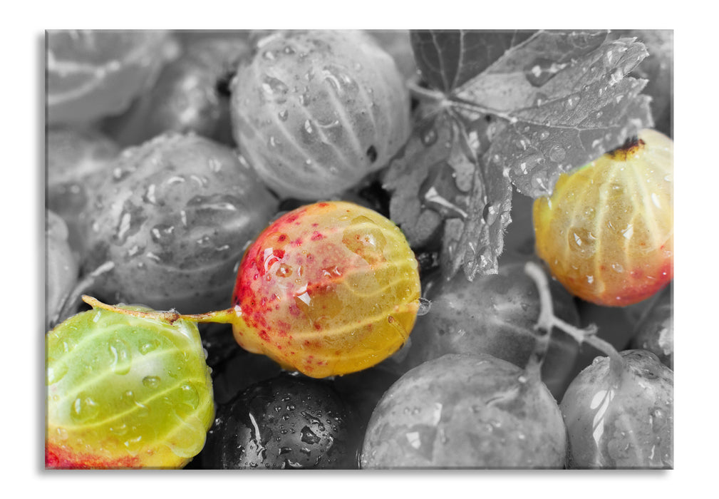 Pixxprint Stachelbeeren mit Wassertropfen, Glasbild