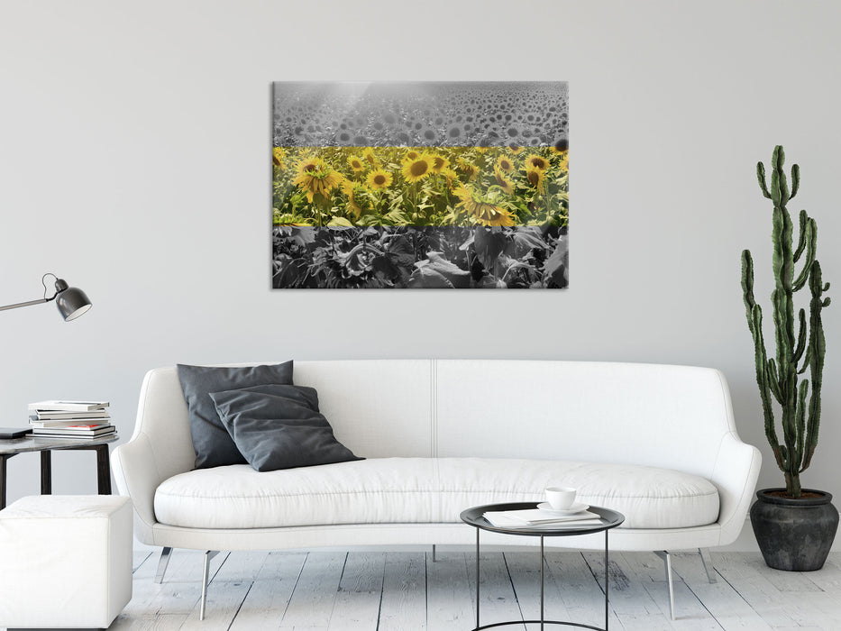 Wunderschönes Sonnenblumenfeld, Glasbild