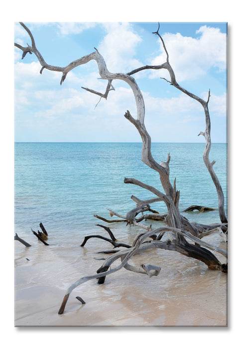 Pixxprint Strand Meer Havanna Kuba, Glasbild