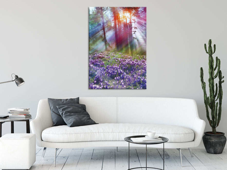 Krokusse im Wald, Glasbild