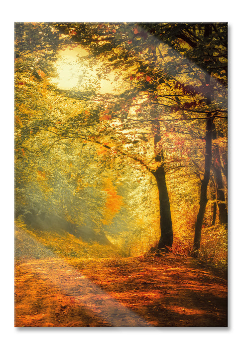 Pixxprint Wald im Herbst, Glasbild