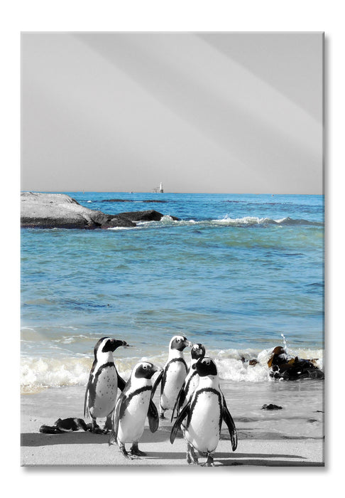 Pixxprint lustige Pinguine am Strand, Glasbild