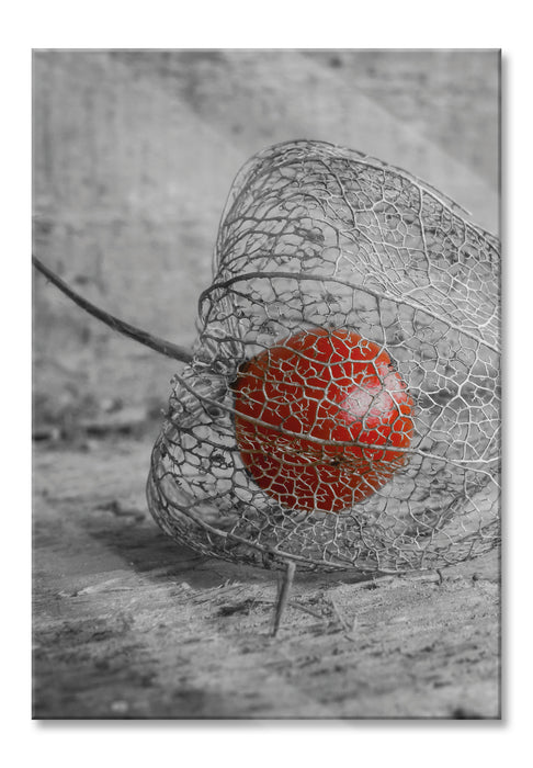 Pixxprint leckere Physalis in Schale, Glasbild