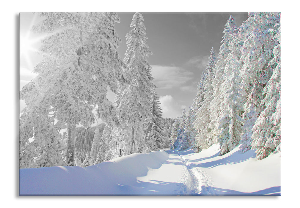 Winterlandschaft mit Bäumen, Glasbild