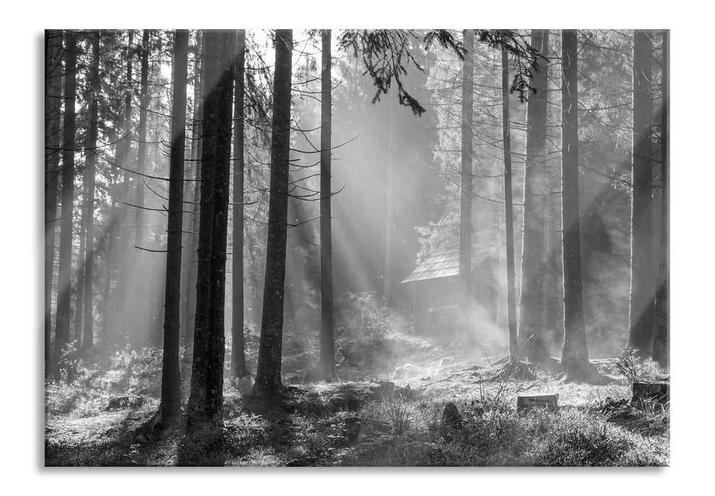 Pixxprint Häuschen im Wald, Glasbild