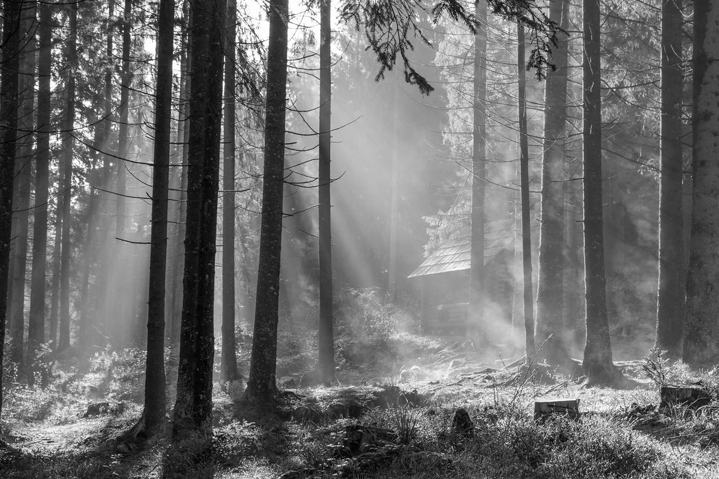 Häuschen im Wald, Glasbild