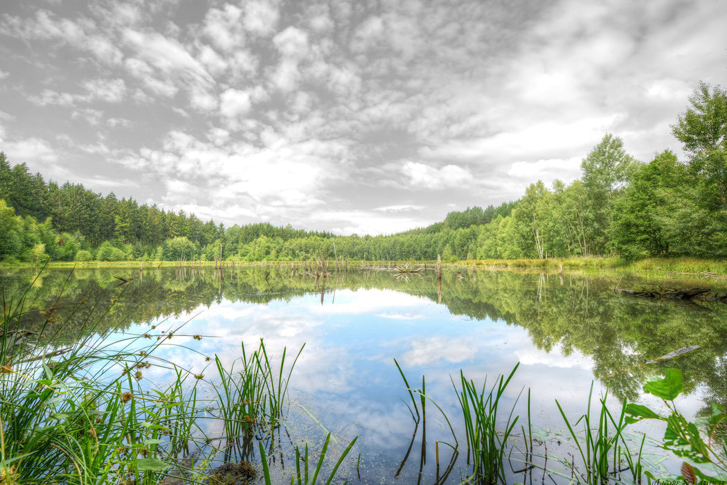 traumhafter See in grünem Wald, Glasbild