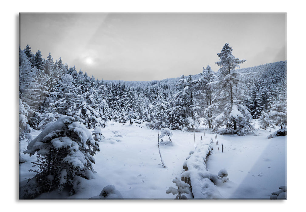 Pixxprint Wald im verschneiten Winter, Glasbild