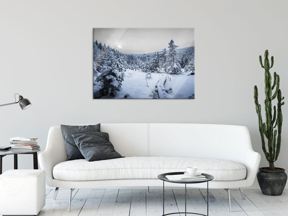 Wald im verschneiten Winter, Glasbild