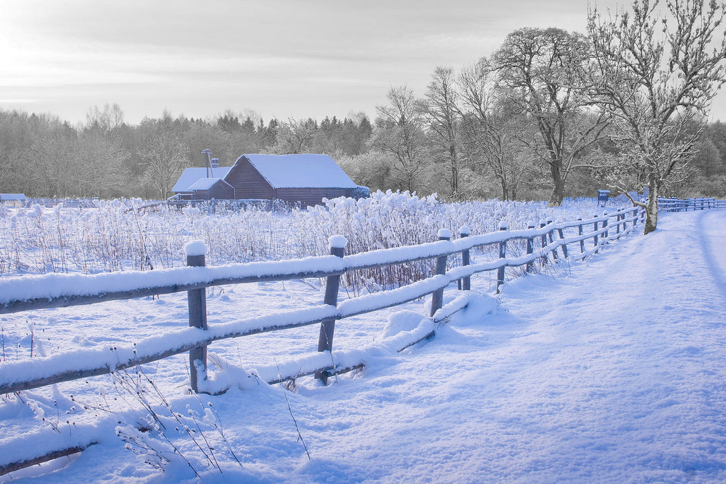 Holzhaus in Landschaft, Glasbild