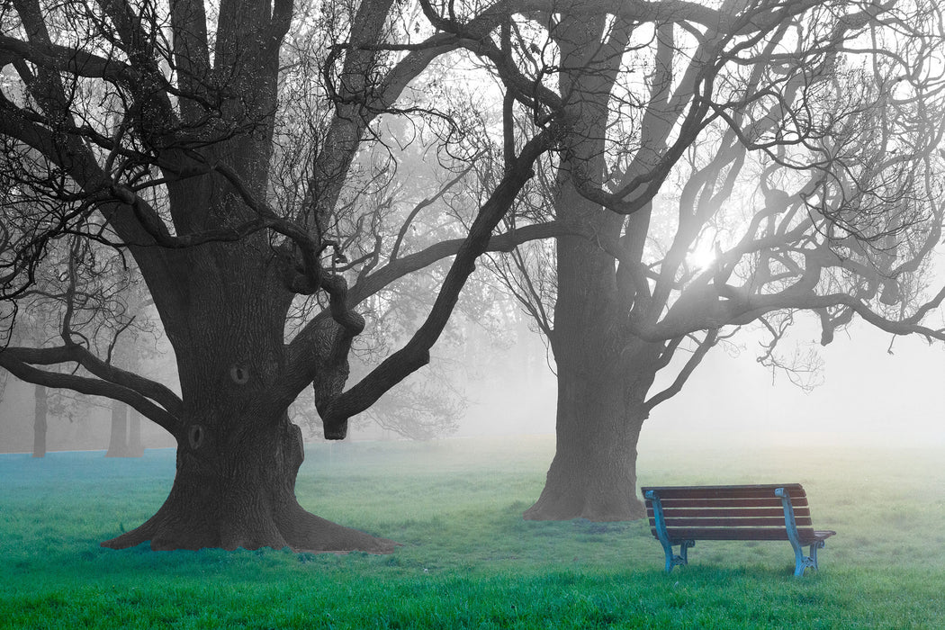 Einsame Bank im Nebel, Glasbild