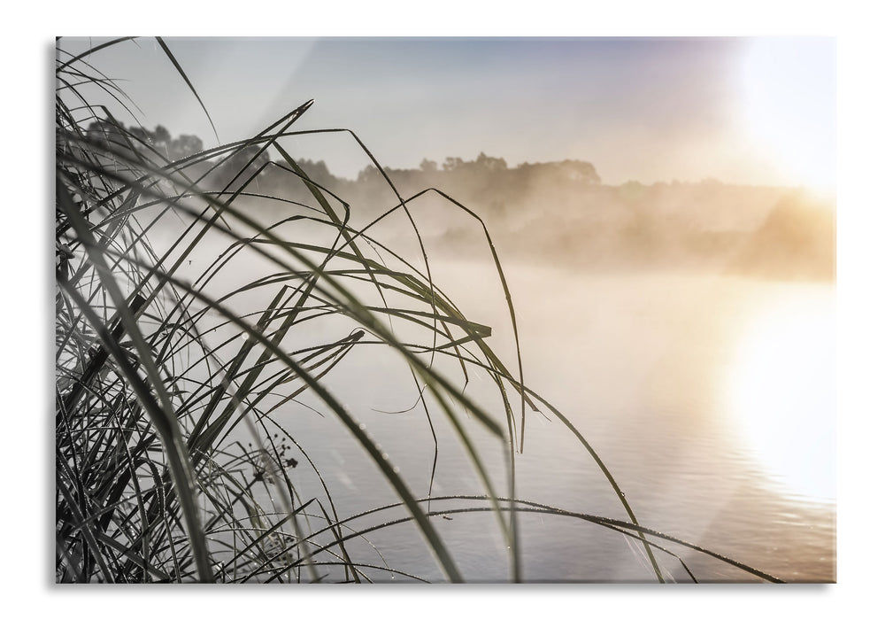 Pixxprint Schneidegras am See, Glasbild