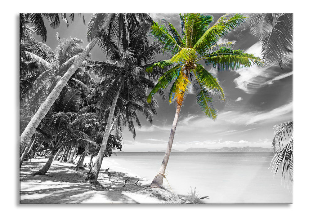 wunderschöner Strand mit Palmen, Glasbild