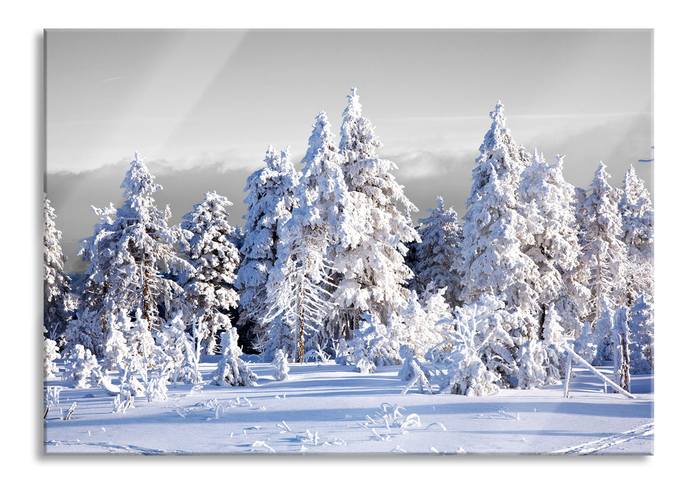 Pixxprint Winter Wunderland, Glasbild