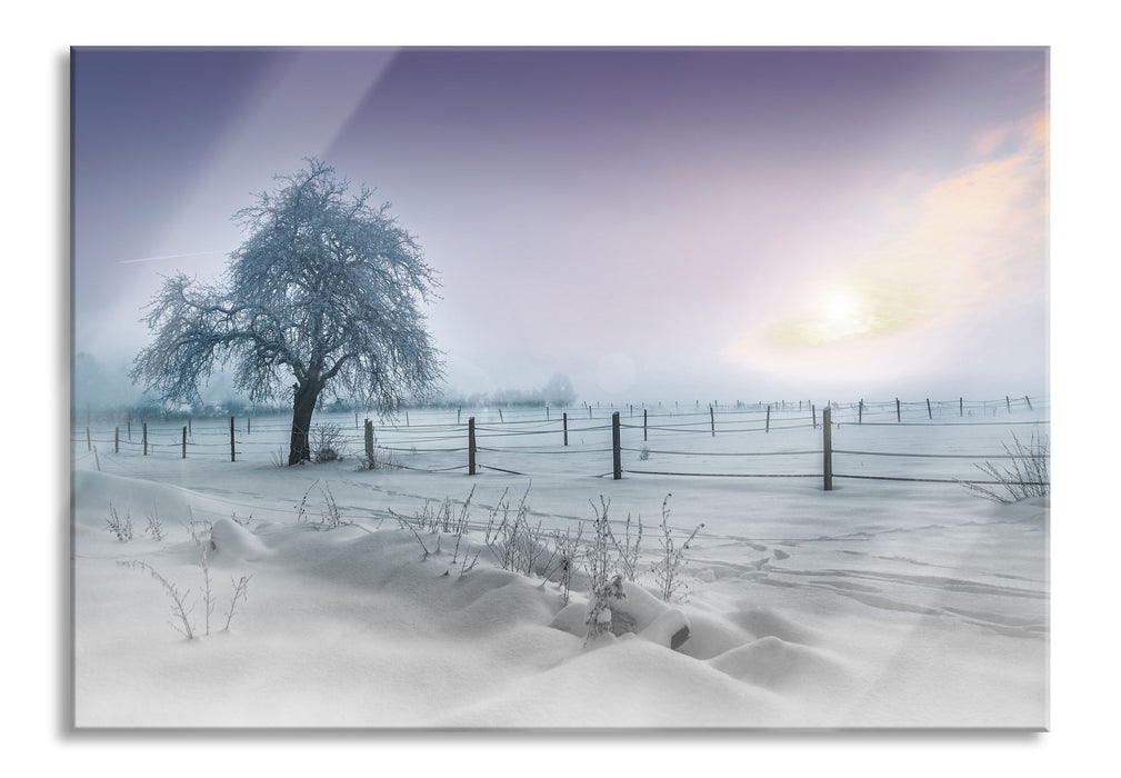 Baum in Winterlandschaft, Glasbild