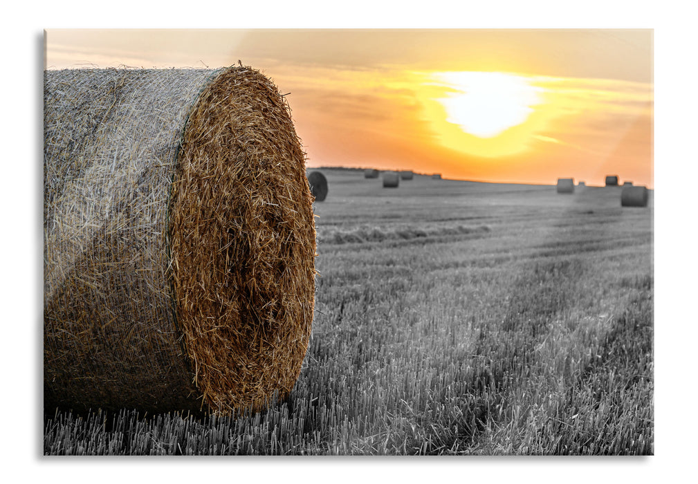 Pixxprint Strohballen auf Feld, Glasbild