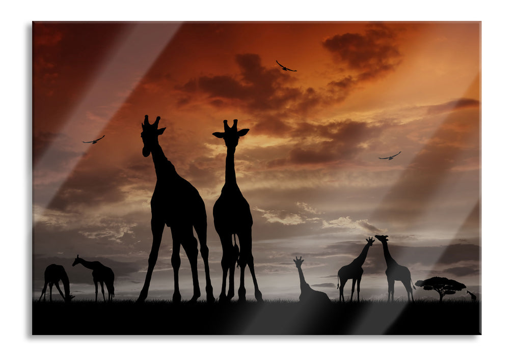 Pixxprint Afrika Giraffen im Sonnenuntergang, Glasbild