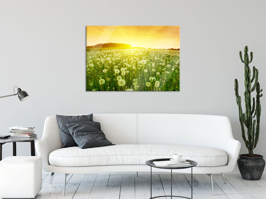 Pusteblumen Sonnenuntergang, Glasbild